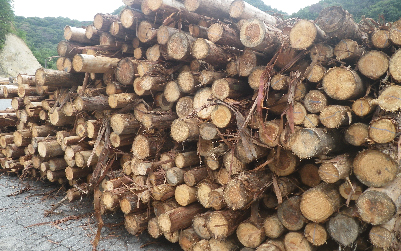 くがい林業　弊社の仕事・製品　間伐材